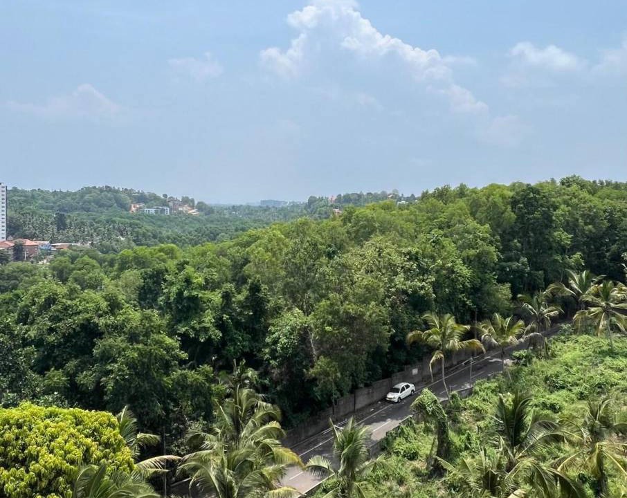Photo of Outdoor in Thiruvananthapuram