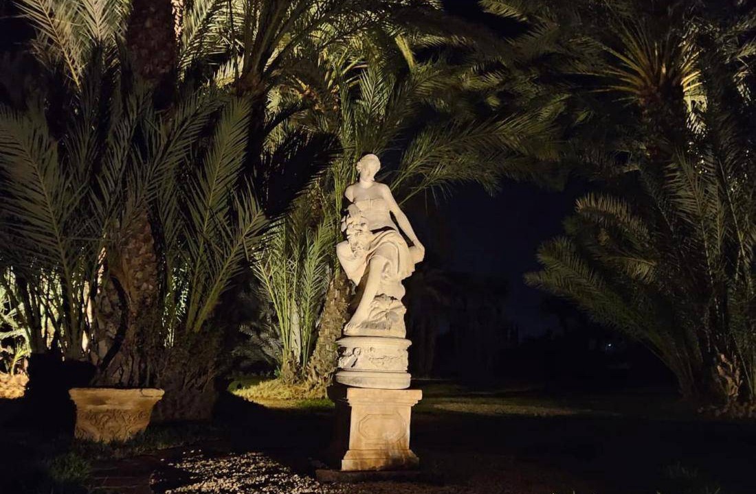 Photo of Others in Palmeraie