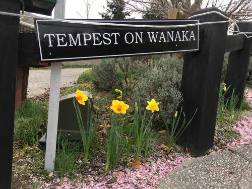 Photo of Others in Wanaka