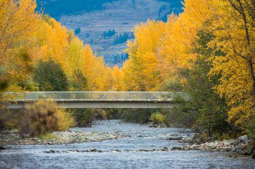 Photo of Others in Southeast Kelowna
