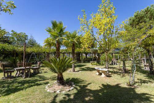 Photo of Outdoor in Calhandriz