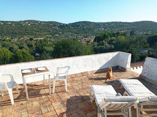 Photo of Patio Balcony in Sao Bras de Alportel