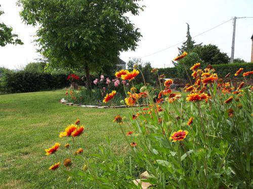 Photo of Outdoor in Saint-Hilaire-sur-Helpe