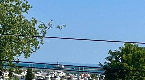 Photo of Others in Port Colborne