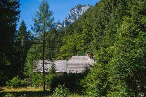 Photo of Others in Mojstrana
