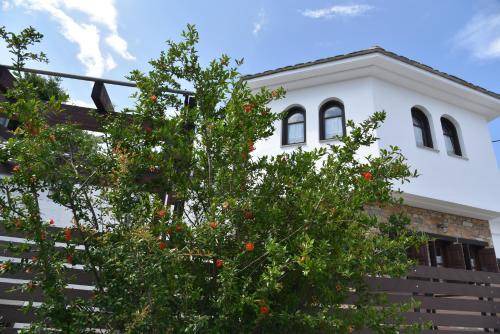 Photo of Buildings in Milies