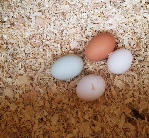 Photo of Others in Okanagan-Similkameen
