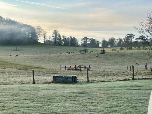Photo of Others in East Knighton