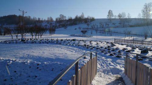 Photo of Others in Nowa Ruda