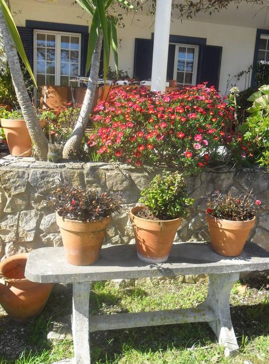 Photo of Others in Arruda dos Vinhos
