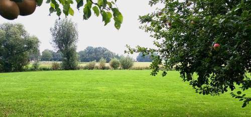 Photo of Others in Holwierde