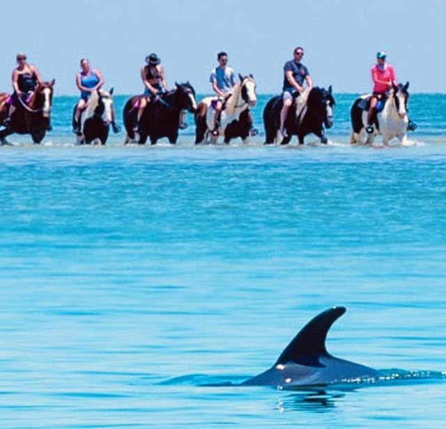 Photo of Others in Anna Maria