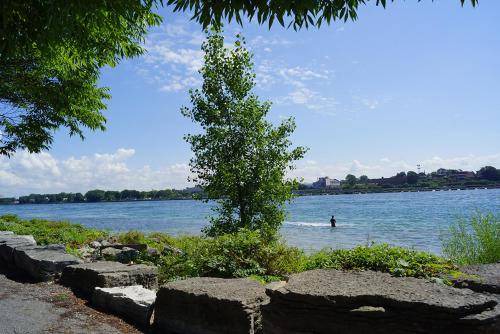 Photo of Others in Fort Erie