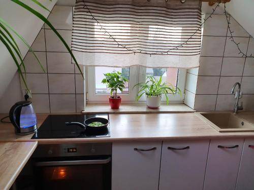 Photo of Kitchen in Targowek