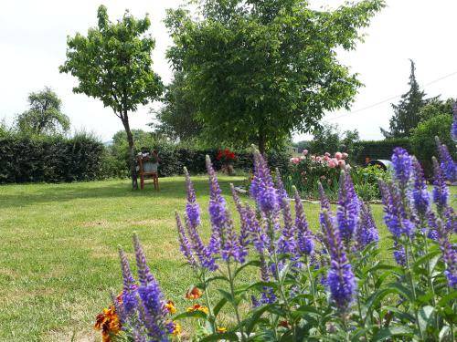 Photo of Outdoor in Saint-Hilaire-sur-Helpe