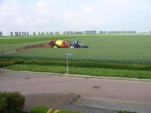Photo of Others in Zuid-Beijerland