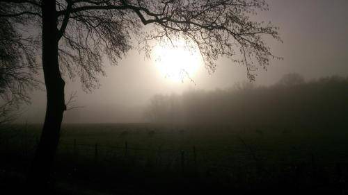 Photo of Others in Glimmen