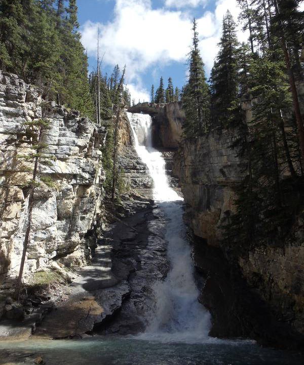 Photo of Others in Canadian Rockies