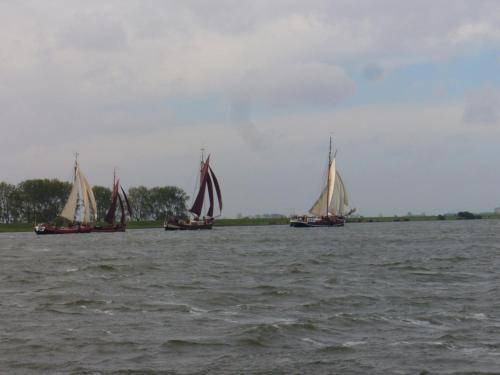 Photo of Others in Zuid-Beijerland