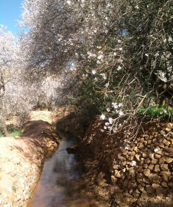Photo of Outdoor in Tamdaght