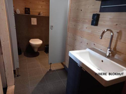 Photo of Bathroom in Zwiggelte