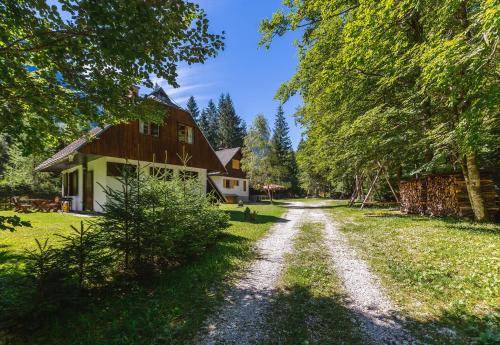 Photo of Others in Mojstrana