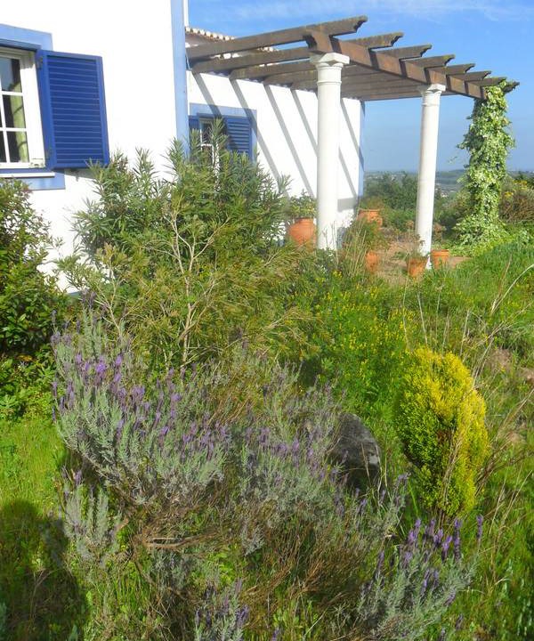 Photo of Others in Arruda dos Vinhos