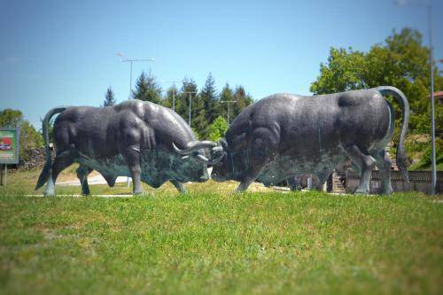 Photo of Others in Montalegre e Padroso