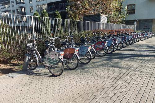Photo of Others in Mokotow