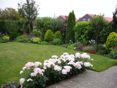 Photo of Others in Zuid-Beijerland