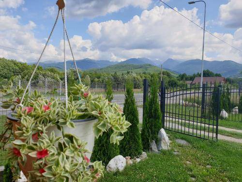 Photo of Outdoor in Cartisoara
