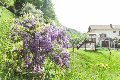 Photo of Others in Tolmin