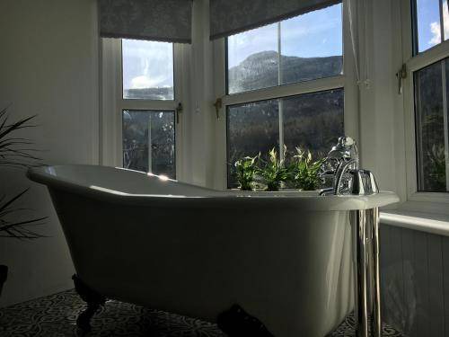 Photo of Others in Strathyre