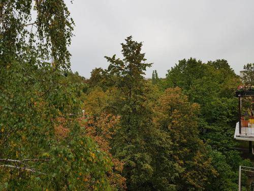 Photo of Others in Rakowiec
