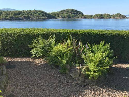 Photo of Outdoor in Tarbert