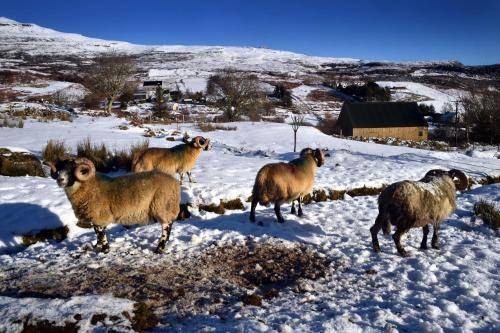 Photo of Others in Isle of Scalpay