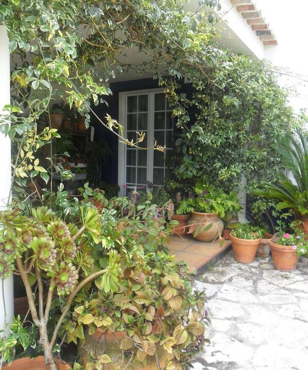 Photo of Others in Arruda dos Vinhos