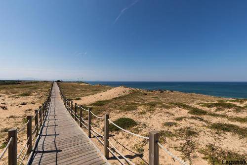Photo of Others in Labenne-Ocean