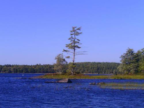 Photo of Others in Caledonia