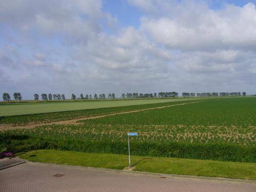 Photo of Others in Zuid-Beijerland