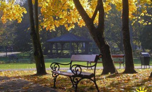 Photo of Others in Bolszewo
