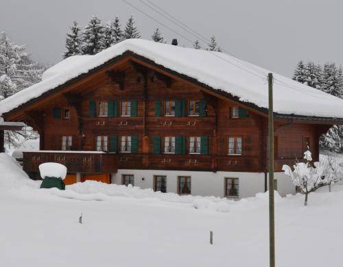 Photo of Others in Saanenmöser