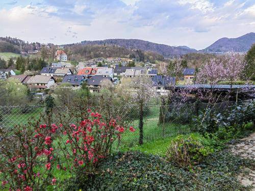 Photo of Others in Velenje