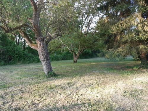 Photo of Outdoor in Chandelles