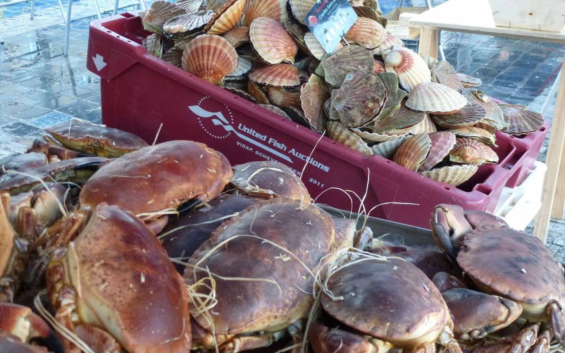 Photo of Others in Etables-sur-Mer