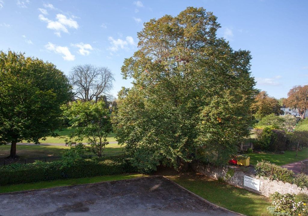 Photo of Outdoor in Babbacombe