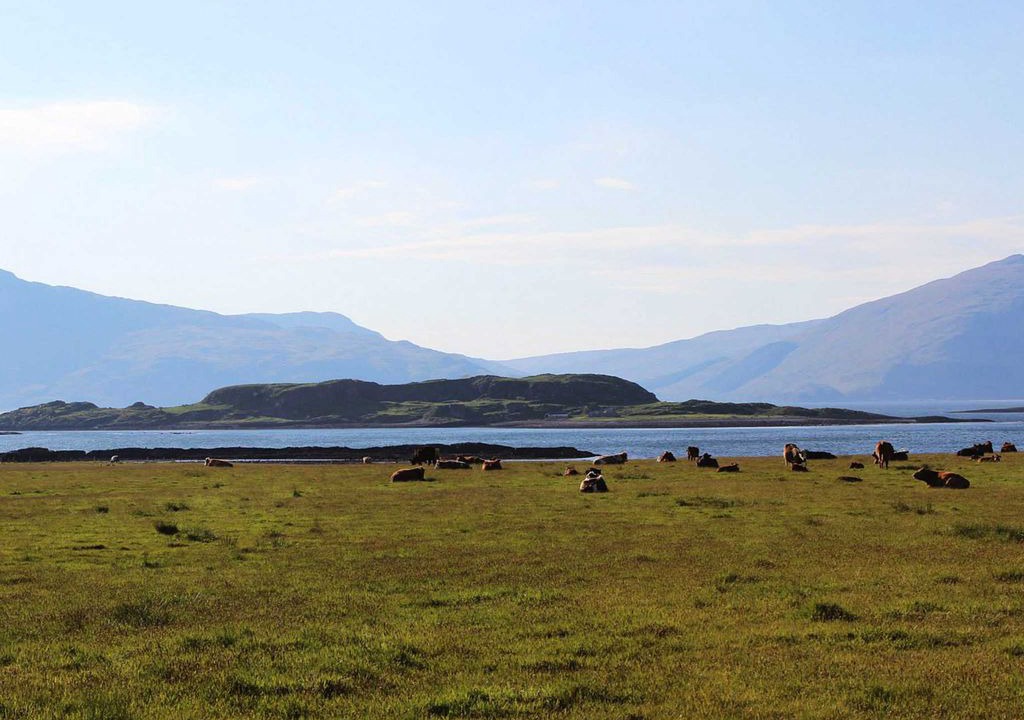 Photo of Outdoor in Port Appin