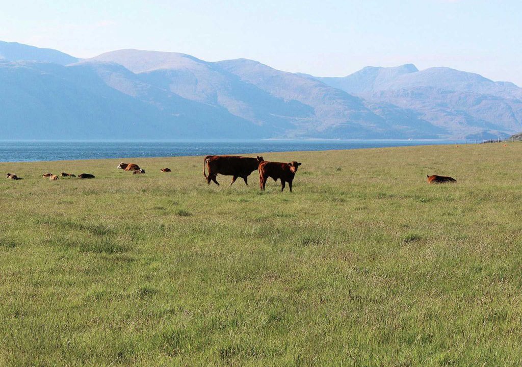 Photo of Outdoor in Port Appin