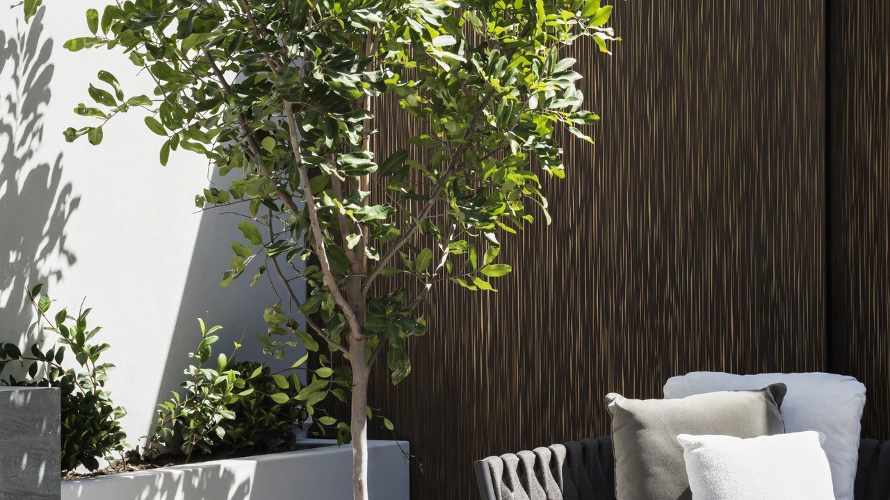 Photo of Outdoor in Darlinghurst
