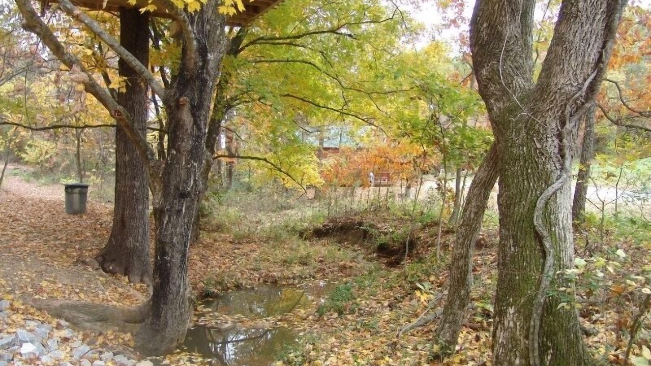 Photo of Others in Hardin County